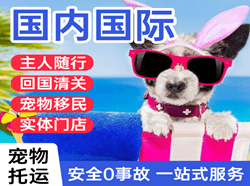 浦东机场快运国际宠物托运 【国